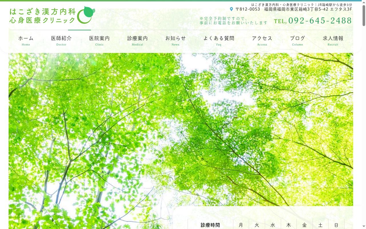 はこざき漢方内科・心身医療クリニックの公式サイトのスクリーンショット