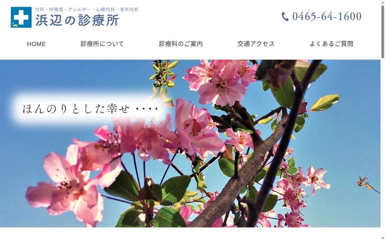 浜辺の診療所の公式サイトのスクリーンショット